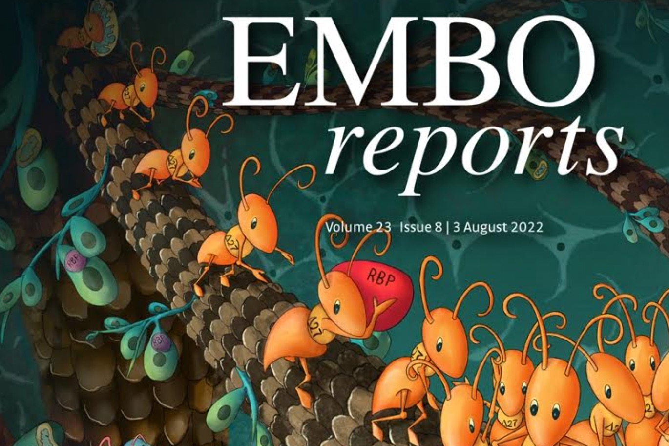 Springer Nature to publish EMBO Press journals - Research Information