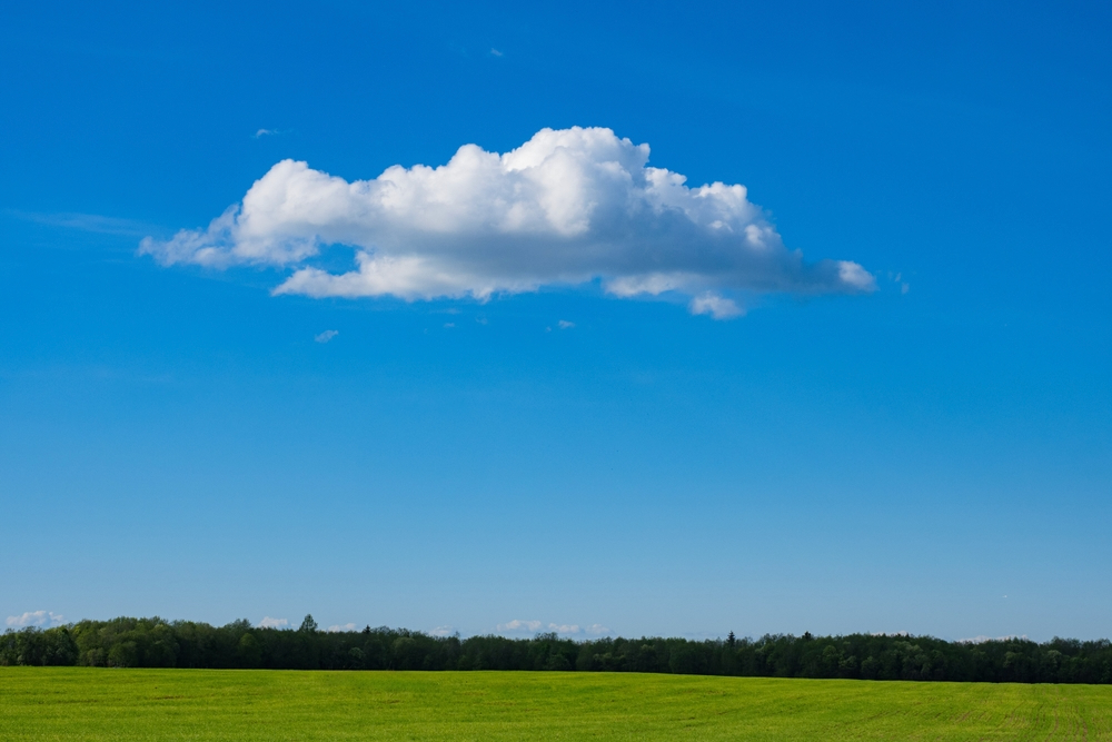 Clear Skies and IEEE announce landmark integrity screening